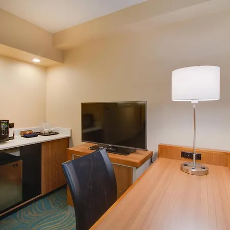 Springhill Suites By Marriott Orlando Lake Buena Vista South